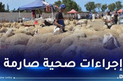 لتفادي الحمى القلاعية.. إشتراط شهادة التلقيح لدخول أسواق المواشي