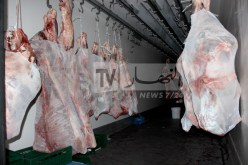 استيراد 75 ألف طن من اللحوم الحمراء تحسبا لرمضان