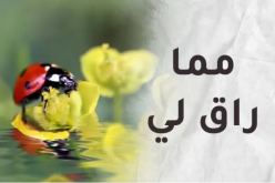 مما راق لي.. إمرأة أنا