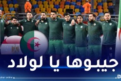 رجال كرة اليد الجزائرية يتحدون الفراعنة على اللقب القاري