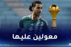 زروقي: “نسعى لتشريف الجزائر في كوت ديفوار”