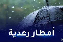 14 ولاية على موعد مع أمطار رعدية بداية من الثالثة زوالا