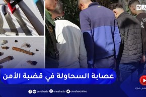 الدرك الوطني : وضع حد لشبكة إجرامية تزرع الرعب وسط السكان بالسحاولة