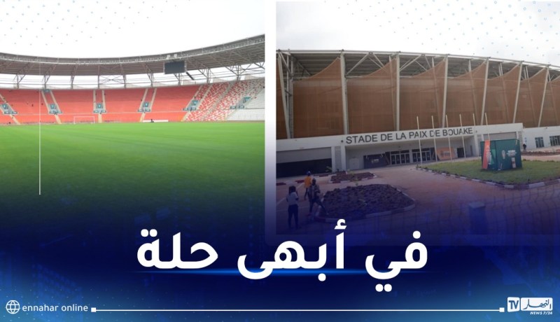 بالصور.. ملعب “السلام” جاهز لاحتضان لقاءات الخضر في الـ”كان”