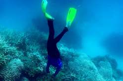 العثور على جثتي غواصين مفقودين بعد 30 عامًا