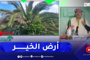 طالع هابط : شاهد الأرض الجزائرية واش تجيب .. نخلة وزيتونة وشجرة البرتقال نايضين في بلاصة وحدة