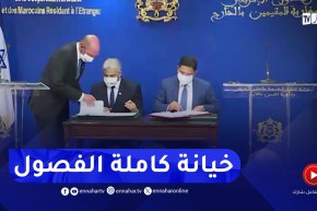 وشهد شاهد من أهلها..تحقيق يكشف فضائح نظام المخزن