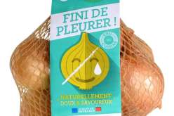 “بصل” هجين لا يجعلك تبكي