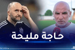 حاج عدلان: “التشكيلة التي سيبدأ بها بلماضي “الكان” أصبحت واضحة”