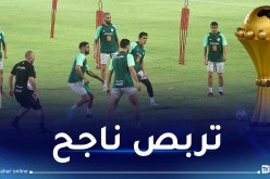 بلماضي: “وجدنا كل ما نبحث عنه في لومي الطوغولية”