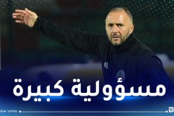 بلماضي: “علينا رد الجميل لشعبنا بعد خيبة كان الكاميرون”