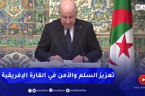 الرئيس تبون: إتفقنا على أهمية العمل المشترك والتنسيق للمساهمة في تعزيز السلم في قارتنا