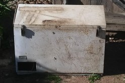 حادثة مرعبة.. العثور على بقايا بشرية داخل ثلاجة قديمة مهجورة