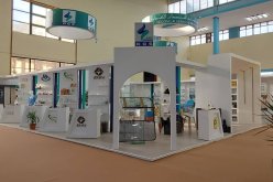 “Holding ACS”.. مخطط التطوير الإستراتيجي بدأ يؤتي ثماره