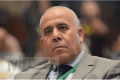 وزير الفلاحة: نعكف على توفير الأوعية العقارية اللازمة لإنجاز المشاريع الإستثمارية المدمجة