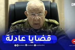 الفريق أول شنقريحة : الجزائر ستبقى وفية لمبادئها تجاه القضايا العادلة عبر العالم