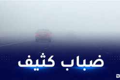 رياح قوية.. ضباب كثيف وأجواء غائمة غدا
