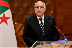 بمشاركة وزير الخارجية.. انطلاق أشغال القمة الإيطالية-الافريقية بروما