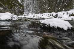 معجزة.. العثور على عجوز حية أمضت 20 ساعة في الماء المتجمد