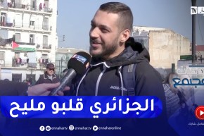 يوميات مجتمع : هل يتقن الجزائري الذكاء العاطفي