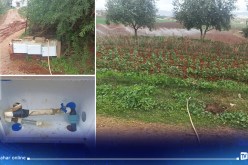 بالصور: هكذا يستغل مواطن المياه الصالحة للشرب في سقي حقله الفلاحي