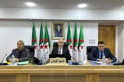 والي بجاية يأمر بإعذار المقاولين المتقاعسين في إنجاز المشاريع السكنية