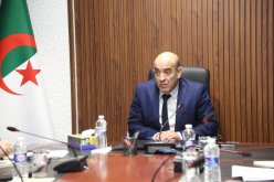 وزير النقل يُشجع المتعاملين لولوج مجال النقل الجوي