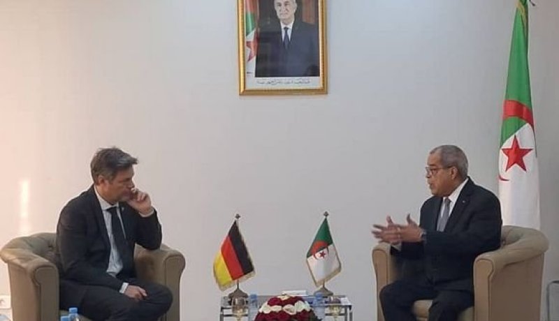 الجزائر وألمانيا تبحثان تعزيز التعاون في المجال الصناعي