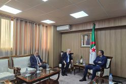 الوزير حماد يستقبل عميد مسجد باريس الكبير استعدادا لاحتضان 2000 طفل