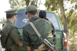 الوادي: توقيف عصابة سرقة المنازل وإسترجاع مجوهرات