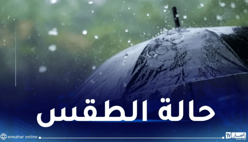 ضباب وبرد شديد.. هذه حالة الطقس غدا السبت