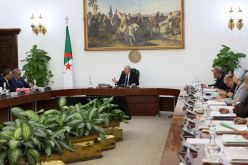 مجلس الوزراء يوافق على النظام التعويضي للإمام
