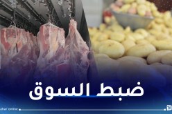 تخزين 106 ألف طن بطاطا.. إستيراد 11 ألف طن من اللحوم في رمضان