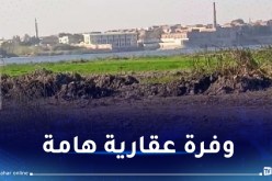 ركاش: 600 عقار قابل للإستثمار.. 3700 هكتار محل تحري لاستغلالها