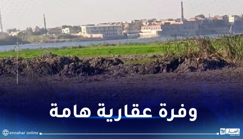 ركاش: 600 عقار قابل للإستثمار.. 3700 هكتار محل تحري لاستغلالها