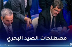 صيد بحري.. إطلاق تطبيق للقاموس الوظيفي على الأندرويد