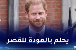 الأمير هاري: أحب عائلتي ومرض والدي يمكنه لم شمل العائلة