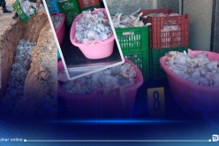 غليزان: حجز قرابة 5 قناطير ونصف من اللحوم البيضاء الفاسدة