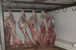حجز كمية من اللحوم الحمراء الفاسدة بسيدي موسى في العاصمة