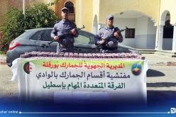 الوادي.. حجز قرابة 15 الف قرص مهلوس باسطيل 