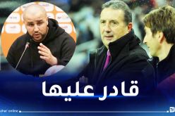 ليكنس :”بوقرة مدرب ذكي ويجب منحه الفرصة لتدريب الخضر”