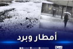 أمطار رعدية غزيرة وبرد على هذه الولايات اليوم