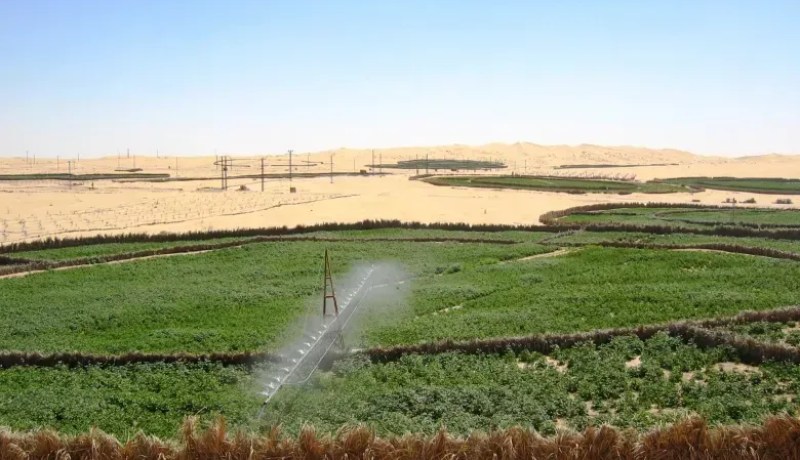 إنشاء أقطاب فلاحية للشعب الإستراتيجية بالجنوب