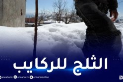 تتعدى 10 سم.. ثلوج كثيفة على 20 ولاية
