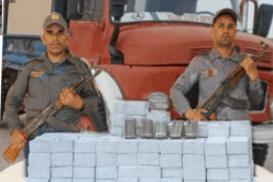 الجمارك تحجز أزيد من نصف قنطار كيف بورقلة