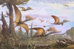 مفاجأة.. اكتشاف أنواع جديدة من الديناصورات الطائرة في اسكتلندا