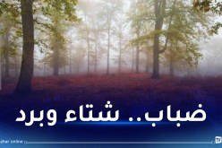ضباب كثيف.. أمطار وانخفاض في درجات الحرارة غدا الجمعة بهذه المناطق