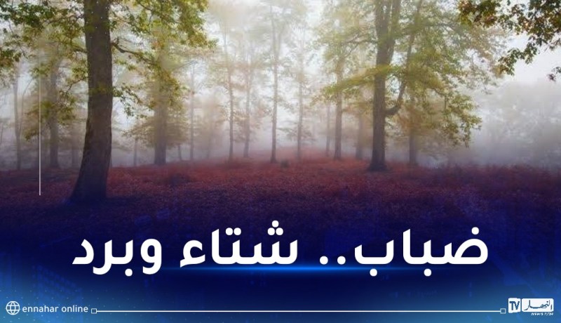 ضباب كثيف.. أمطار وانخفاض في درجات الحرارة غدا الجمعة بهذه المناطق