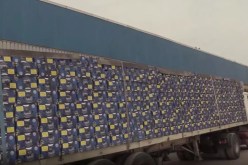 حجز 88 قنطارا من الموز موجهة للتهريب في تبسة