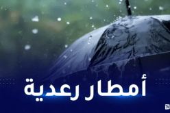 أمطار رعدية غزيرة في 22 ولاية